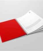 Axhenda pa data me spirale - Figura 2