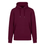 ABSOLUT HOODY 350 - Figura 10