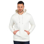 ABSOLUT HOODY 350 - Figura 2