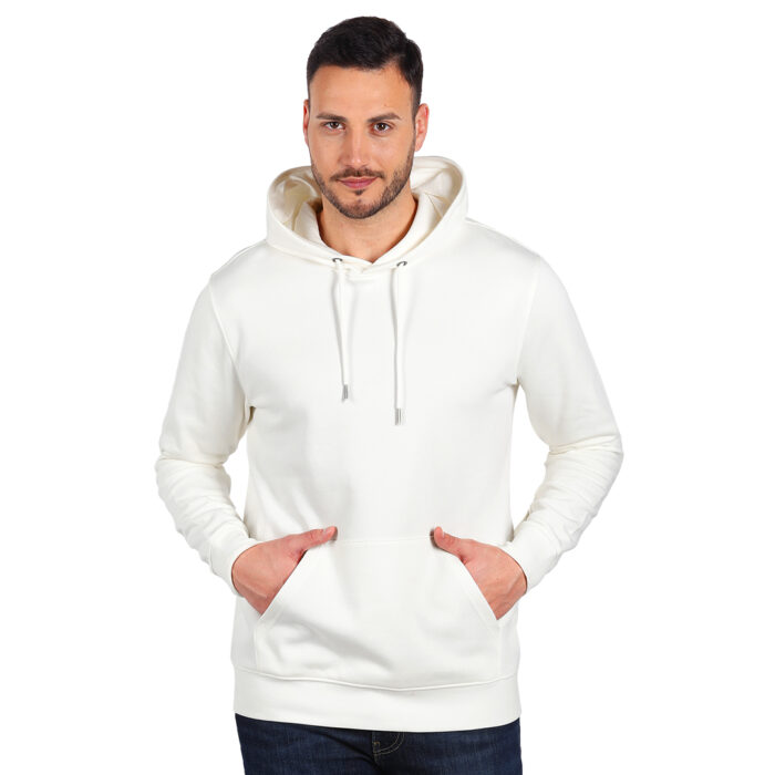 ABSOLUT HOODY 350 - Figura 2