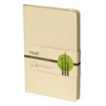 HAITI - Figura 2